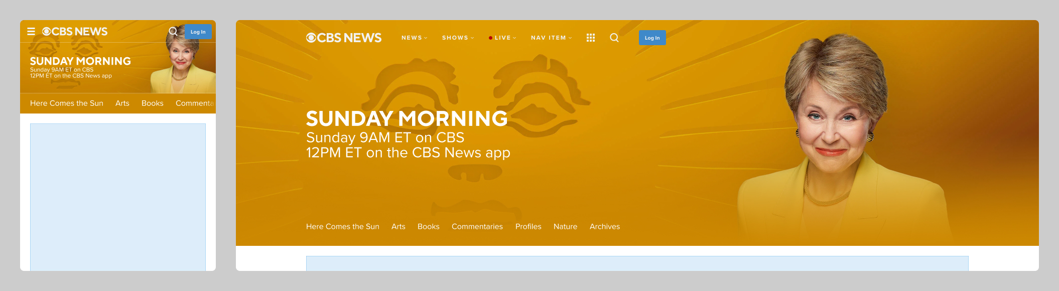 CBS News brand door v1
