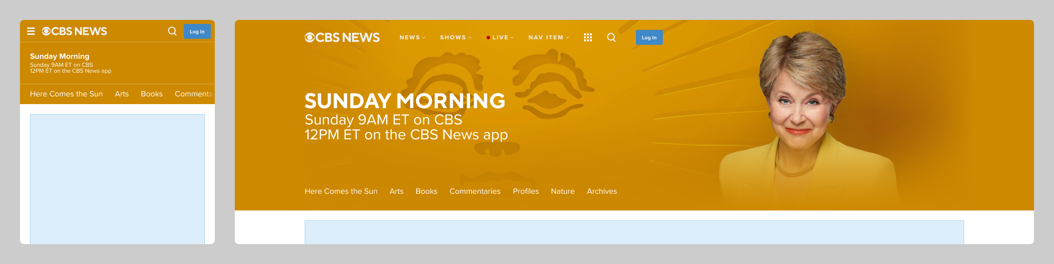 CBS News brand door v2