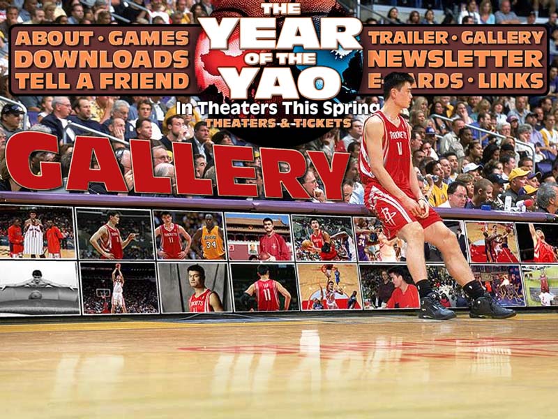 The Year of the Yao - Gallery